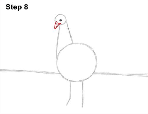 How to Draw Tweety Bird  Step-by-Step Tutorial 