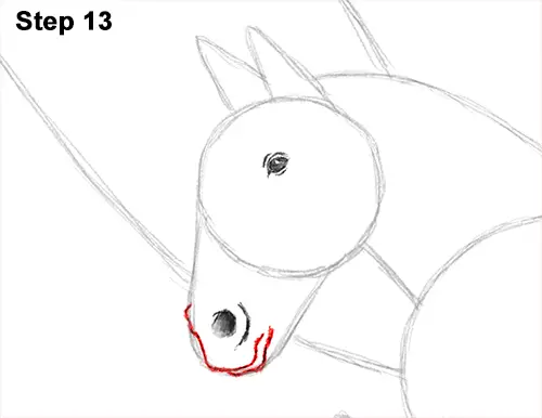 Draw Pegasus Horse Wings 13