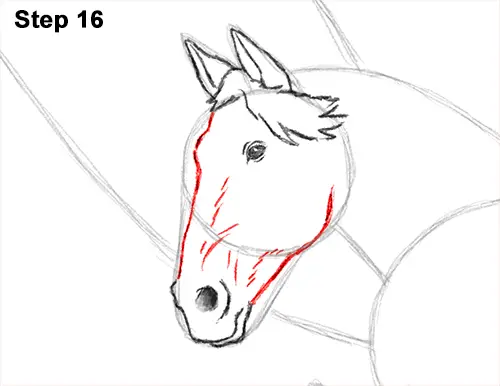 Draw Pegasus Horse Wings 16