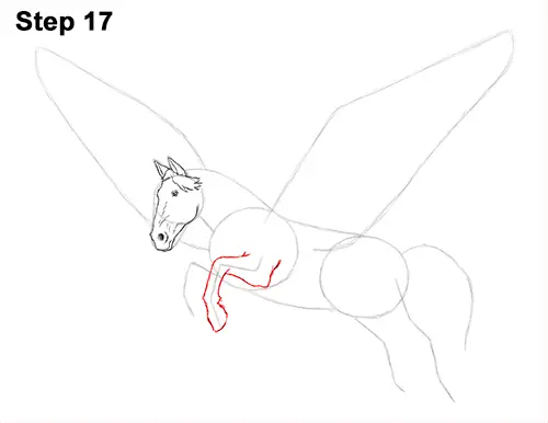 Draw Pegasus Horse Wings 17