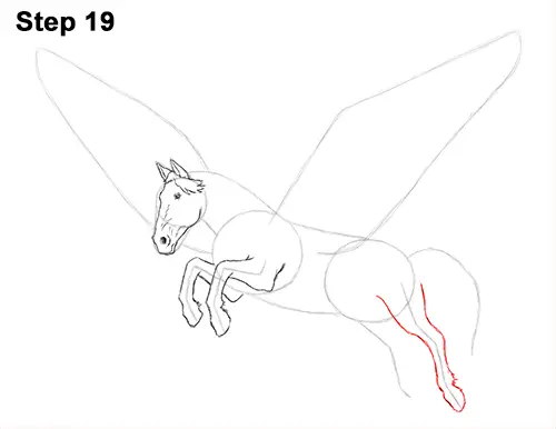 Draw Pegasus Horse Wings 19
