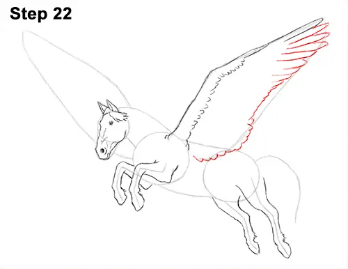 Draw Pegasus Horse Wings 22