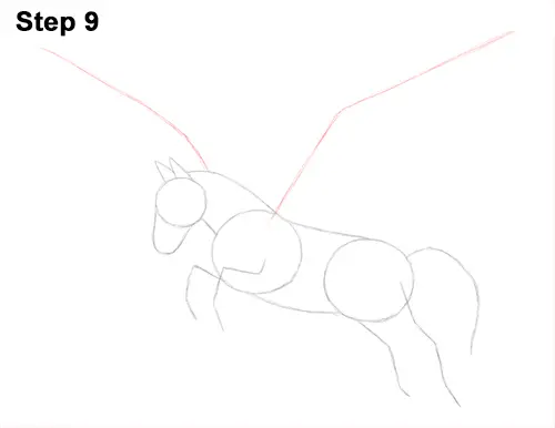 Draw Pegasus Horse Wings 9