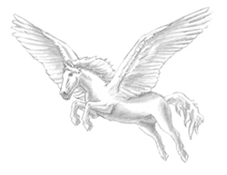 How to Draw a Pegasus Horse Wings