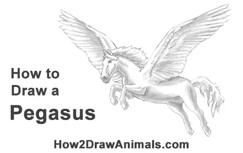 How to Draw a Pegasus Horse Wings