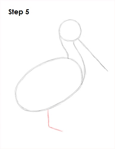Draw Pelican 5