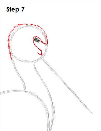 Draw Pelican 7