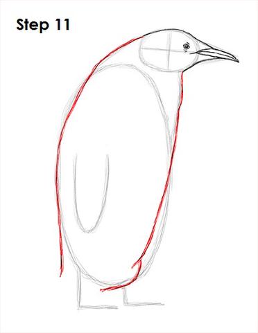 penguin feet drawing