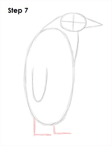 Draw Penguin 7