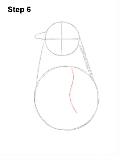 How to Draw a Cute Emperor Penguin Baby Chick 6