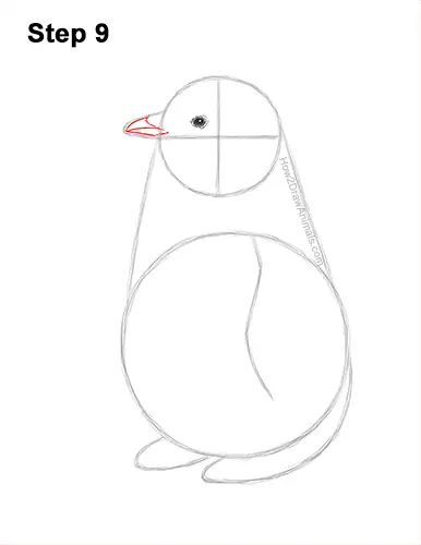 How to Draw a Cute Emperor Penguin Baby Chick 9