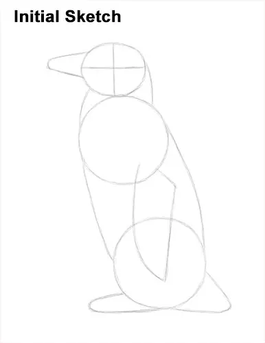 How to Draw Magellanic Penguin Initial Sketch