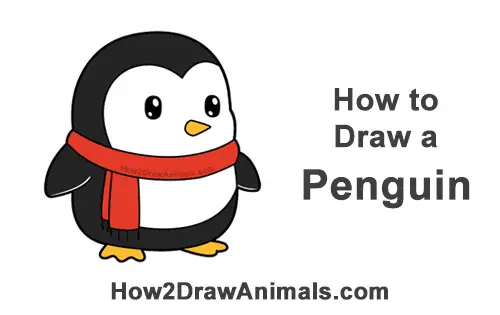 How to Draw Cute Cartoon Penguin Scarf