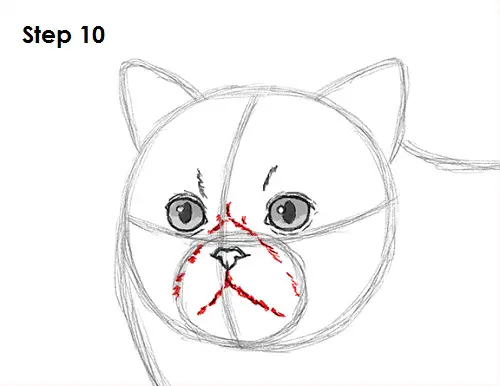 Draw Persian Cat 10