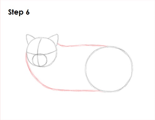 Draw Persian Cat 6