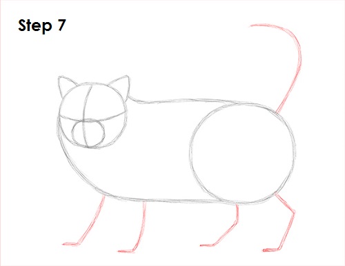 Draw Persian Cat 7