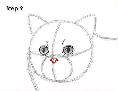Draw Persian Cat 9