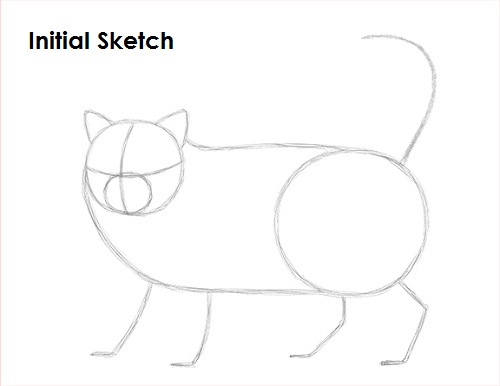 Draw Persian Cat Sketch