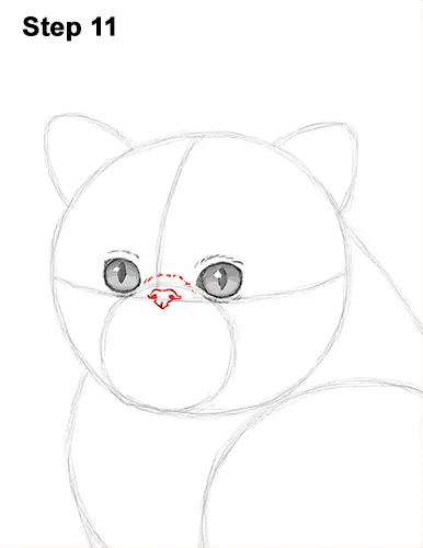 Draw Persian Kitty Cat 11
