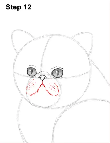 Draw Persian Kitty Cat 12