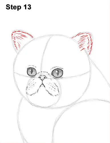 Draw Persian Kitty Cat 13