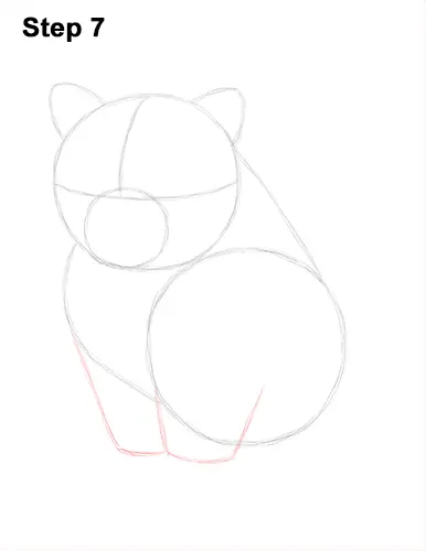 Draw Persian Kitty Cat 7