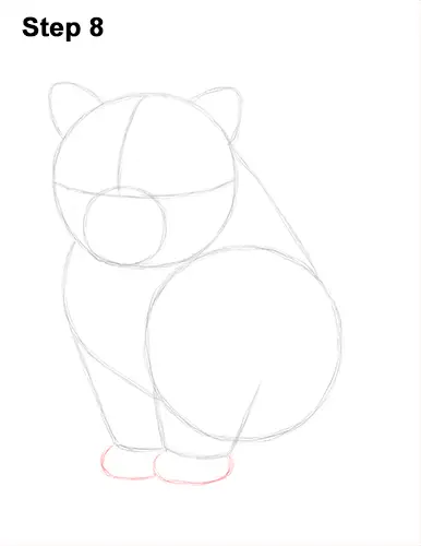 Draw Persian Kitty Cat 8