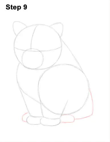 Draw Persian Kitty Cat 9