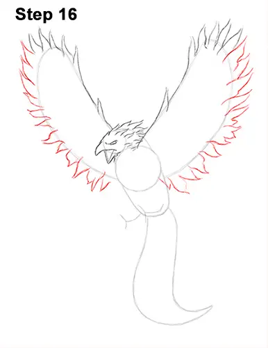 Draw Phoenix 16