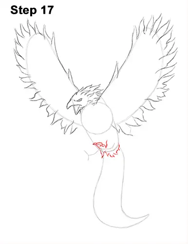 Draw Phoenix 17