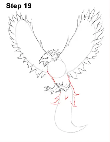 Draw Phoenix 19