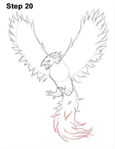 Draw Phoenix 20