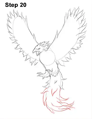 how to draw a phoenix how to draw a phoenix