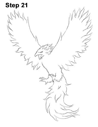 Drawing A Phoenix Step By Step Step by Step Drawing Guide by Dawn   DragoArt