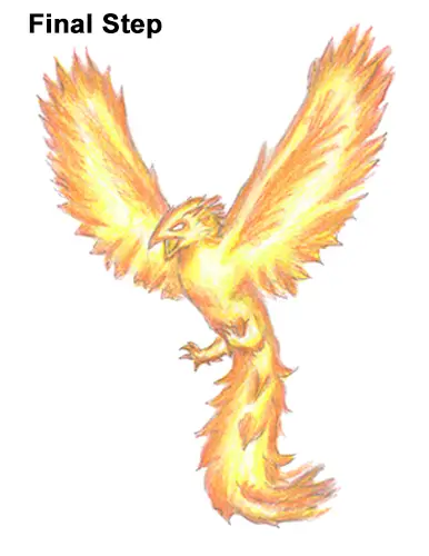 Phoenix, Mythical, Bird, Animal, Fictional, Firebird, Silhouette, Line Art,  png | PNGWing