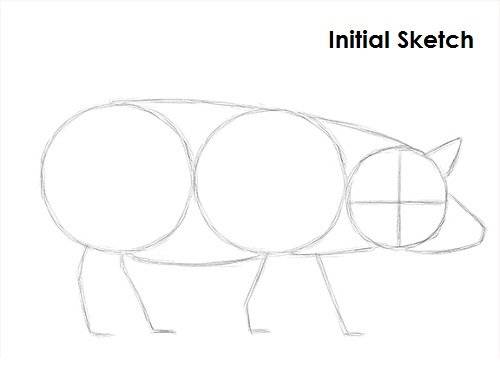 Draw Pig Sketch