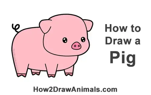 How to Draw a Pig (Cartoon) VIDEO & Step-by-Step Pictures