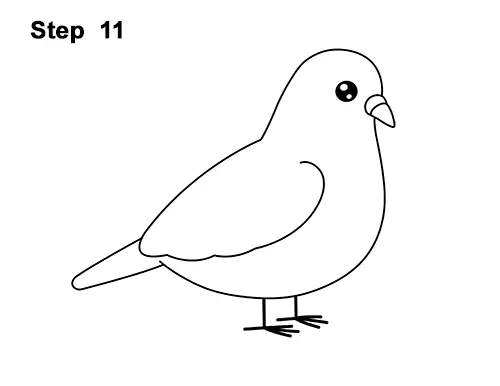 How to Draw Cute Cartoon Pigeon 11