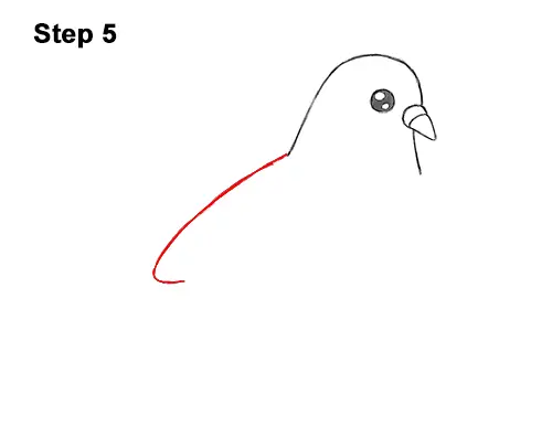 drawing the pigeon  Easy drawings, Easy animal drawings, Easy