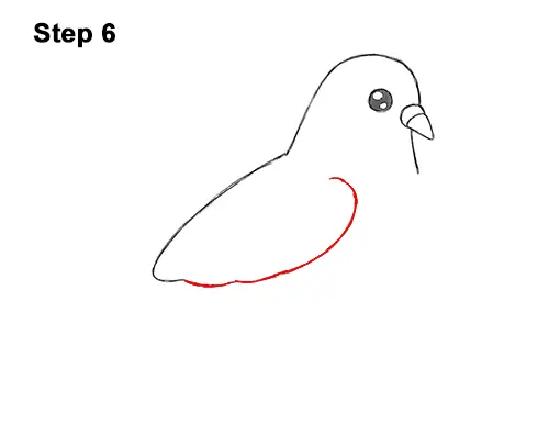 How to Draw Cute Cartoon Pigeon 6