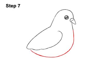 How to Draw a Pigeon (Cartoon) VIDEO & Step-by-Step Pictures