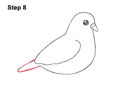 How to Draw Cute Cartoon Pigeon 8
