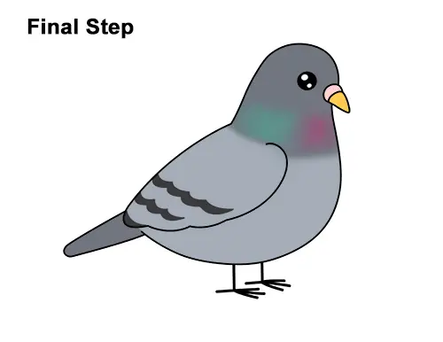 How to Draw Cute Cartoon Pigeon