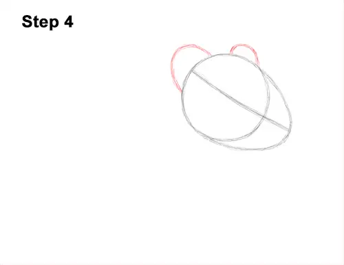 How to Draw an American Pika Himalayan 4