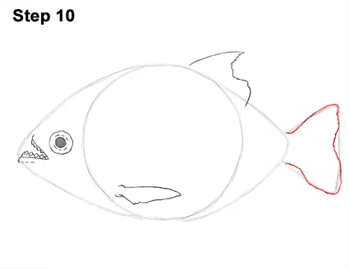 Draw Piranha Fish 10