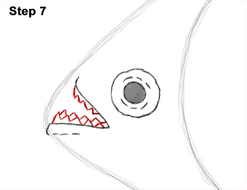 Draw Piranha Fish 7
