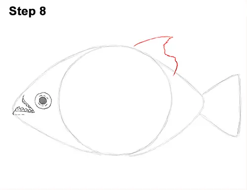 Draw Piranha Fish 8