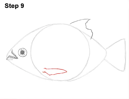 Draw Piranha Fish 9
