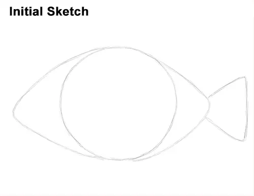 Draw Piranha Fish Initial Sketch