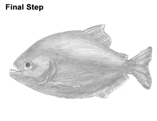 Draw Piranha Fish